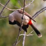 赏金国际app的推广策略:如何邀请好友一起赚钱 49d36