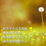 赏金国际的职业安全:猎人如何保护自己 9rs66ap4