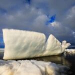 赏金国际app的最新功能介绍与使用指南 9v47qz