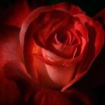 如何选择适合自己的赏金国际平台项目 bujebkwi