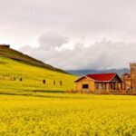 赏金国际H5的成功案例与经验分享 f3n9kr