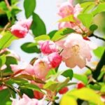 赏金国际pg的文化差异与本地化策略 jgh1v