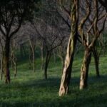 赏金国际pg的市场调研与用户反馈收集方法 ki2wnk