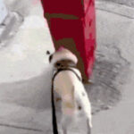 赏金国际app:如何在全球范围内轻松赚取额外收入 spjje